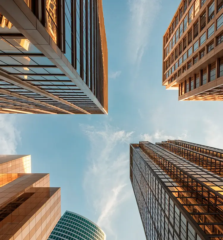 Synapx — case study preview